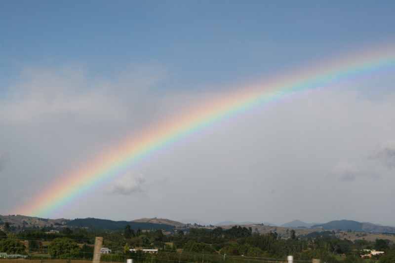 Nieuw-Zeeland 2011 - 1059